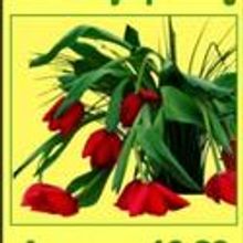 Grosse Pointe Theatre Announces Winter Classes for January, 2011