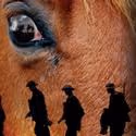Cast of 35 Announced for WAR HORSE on Broadway!