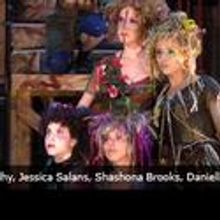 Shakespeare Santa Cruz Managing Director to Retire