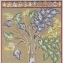 Unique Collection of Tibetan Medical Paintings Opening at AMNH 1/25/11