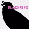 Silver Spring Stage Announces Project Underground Series