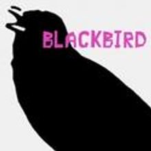 Silver Spring Stage Announces Project Underground Series