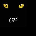 Musical Theatre West Announces Principal Cast of CATS 2/11-27