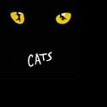 Musical Theatre West Announces Principal Cast of CATS 2/11-27