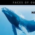 FACES OF OUR PLANET Series Returns To Mystic Aquarium Institute 2/11