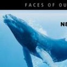 FACES OF OUR PLANET Series Returns To Mystic Aquarium Institute 2/11