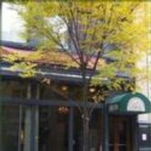 MY SCANDALOUS LIFE set for Irish Rep, Previews 2/2