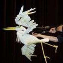 Hobey Ford's Golden Rod Puppets Perform at Alden Theatre 1/29