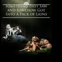 Amarillo Author Jennifer Jones Publishes New Book, Something They Saw...