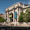 Body and Spirit: Tibetan Medical Paintings Opens At AMNH 1/25