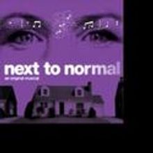 Next to Normal NAMI SF Hosts NAMI Awareness Night 2/11