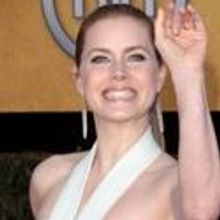 Photo Coverage: 2011 SAG Awards Red Carpet Part 2