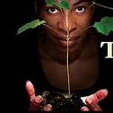 Goodman Cancels 2/2 TRINITY RIVER PLAYS Performance Due To Weather