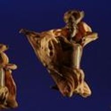 THE LION KING Tour Celebrates Sold-Out Engagement in Durham