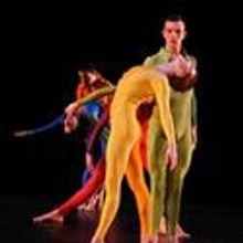 Merce Cunningham Dance Co Performs 1st of Final Engagements in NYC