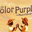 THE COLOR PURPLE Returns To PlayhouseSquare's Palace Theatre