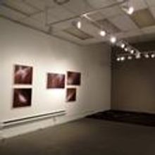 Colin Noonan: Idle Comes To Penn Gallery