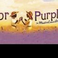 THE COLOR PURPLE With Lil' Mo Plays National Theatre 4/12-24
