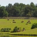 Castleton Festival Announces Casting & Programs for 2011