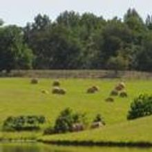 Castleton Festival Announces Casting & Programs for 2011