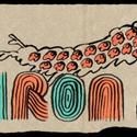 Iron and Wine Comes To The Boulder Theater 6/4