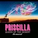 PRISCILLA QUEEN OF THE DESERT Featured On NY-1 On Stage This Weekend