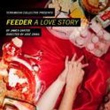 terraNOVA Collective Holds Feeder: A Love Story Post-Show Discussions