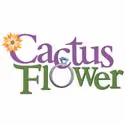 Meet the Cast of CACTUS FLOWER Day 2: Jeremy Bobb