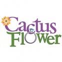 Meet the Cast of CACTUS FLOWER Day 3: Maxwell Caulfield
