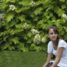 NHTP Presents Forest Secrets for Youth Audiences 4/2-10