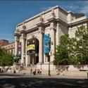 AMNH Invites Visitors To Celebrate St Patrick's Day 3/17