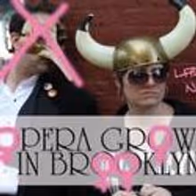 Women Composers Featured in Brooklyn Opera Series 3/27