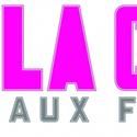 LA CAGE AUX FOLLES Comes To Chicago 12/20-1/1