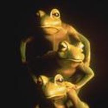 Portland Ovations Presents Imago Theatre ZooZoo 3/26