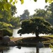 Chicago DCA Theater Presents ShawChicago's Arms and the Man 4/16-5/15