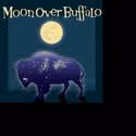 Davidson Community Players Host Auditions For MOON OVER BUFFALO