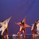 Treehouse Shakers Presents Coyote's Dance 5/4-7