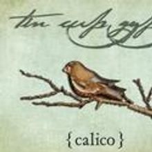 Tin Cup Gypsy Celebrates Calico With A National Tour