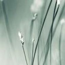 New York Choral Society Celebrates 52nd Anniversary With Spring Gala 4/6