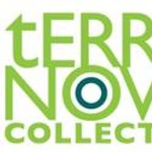 Terranova Collective Presents The 8th Annual SOLONOVA ARTS FESTIVAL