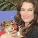 Photo Coverage: Cindy Crawford Hosts Propel Zero to 1000 Celebrity Dog Walking Event