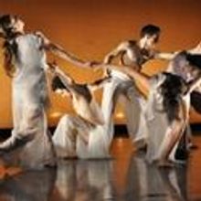 R.Evolucion Latina's Choreographers Festival Declared A Success