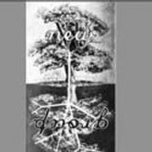 The NU Group to Present Two Weekends of Vibrant Dance 4/22-23, 4/29-30