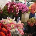 Parks & Recreation Seeks Mobile Specialty Food Unity Proposals