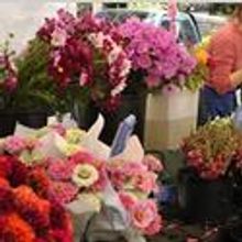 Parks & Recreation Seeks Mobile Specialty Food Unity Proposals
