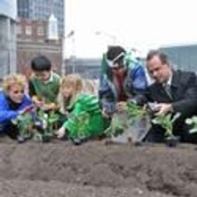 Urban Farm at the Battery Debuts