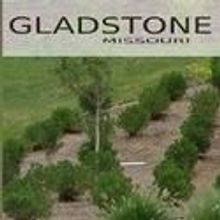 Submission Due Date Extended for A Summer of Art in Gladstone