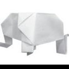 Downstage, A Slightly Isolated Dog Present Death & The Dreamlife of Elephants