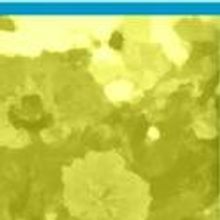 Rising Sun Performance Co Hosts One Act Reading Series 4/26