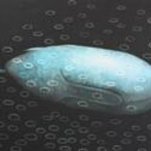 Roscommon Arts Centre Presents seeing in black